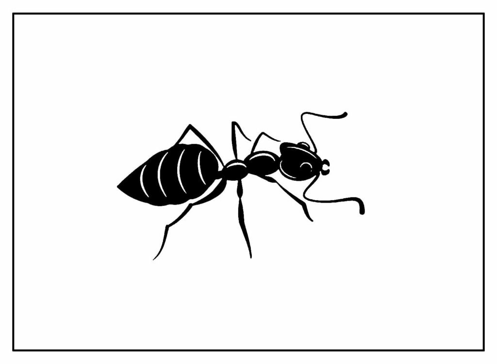 desenhos de formiga para colorir 21