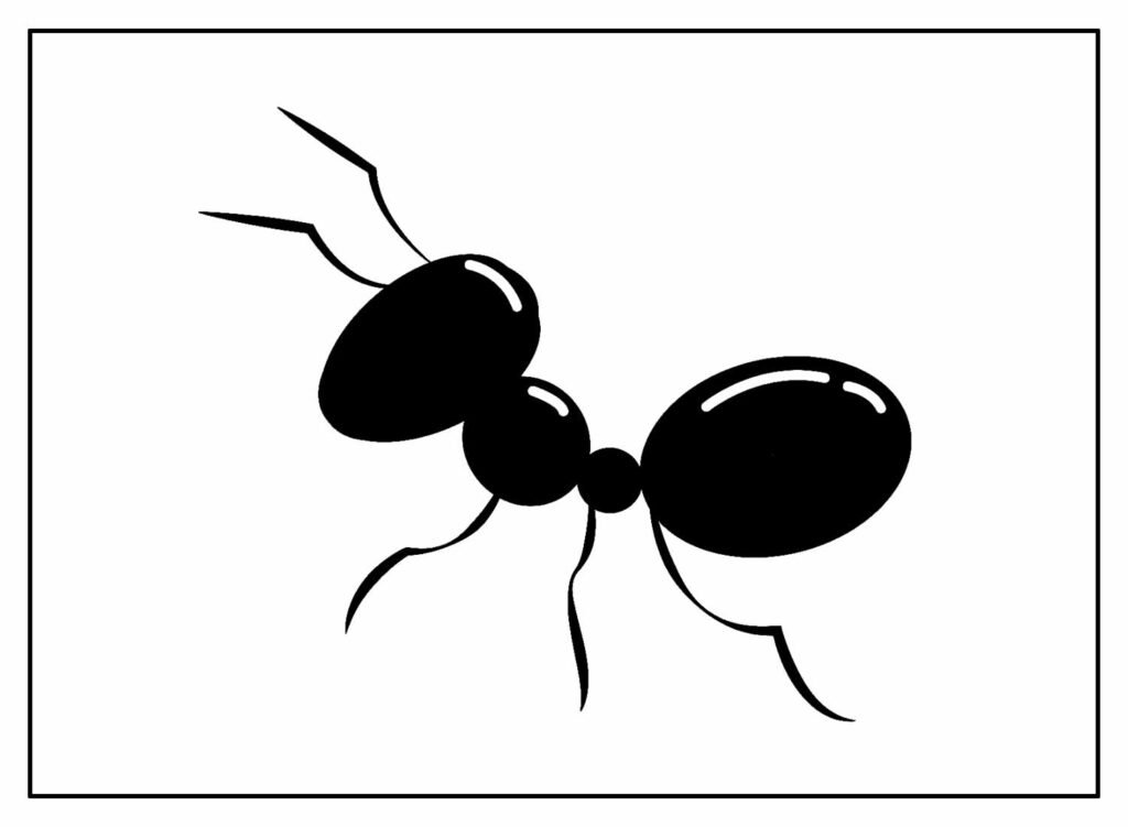 desenhos de formiga para colorir 22