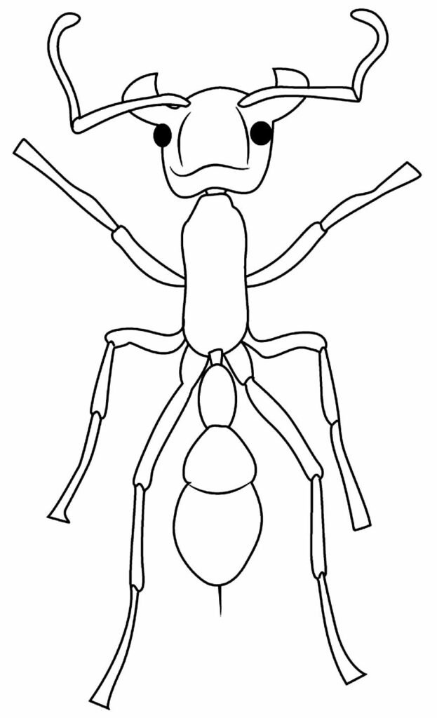 desenhos de formiga para colorir 31