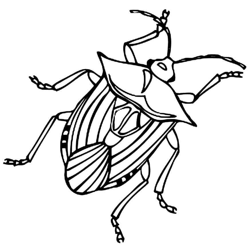 desenhos de insetos para colorir 10a