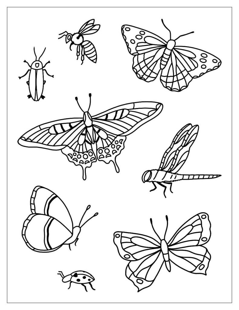 desenhos de insetos para colorir 1400