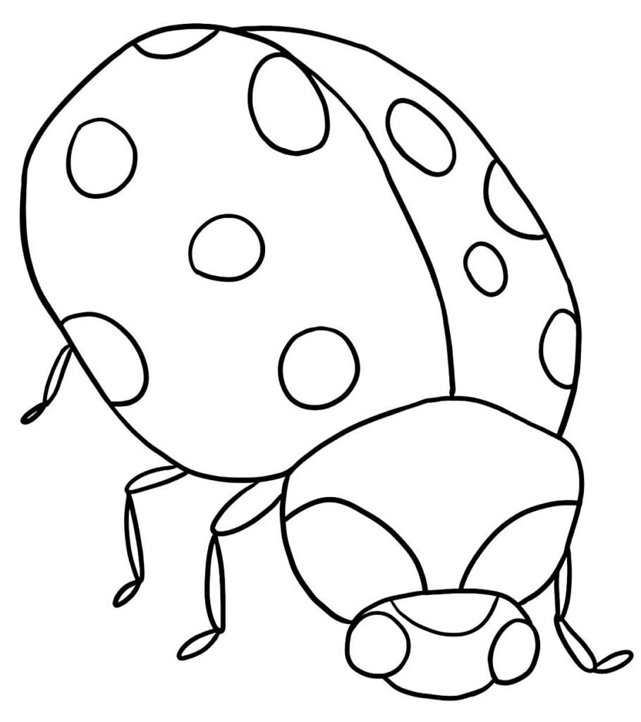 desenhos de insetos para colorir 19