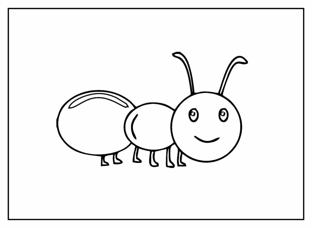 desenhos de insetos para colorir 2