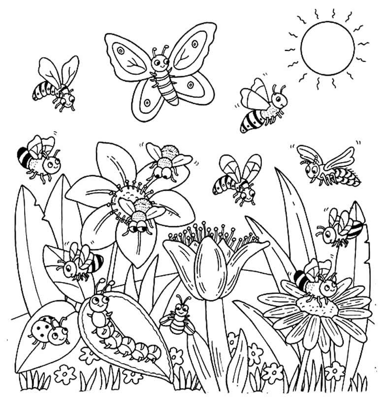 desenhos de insetos para colorir 200