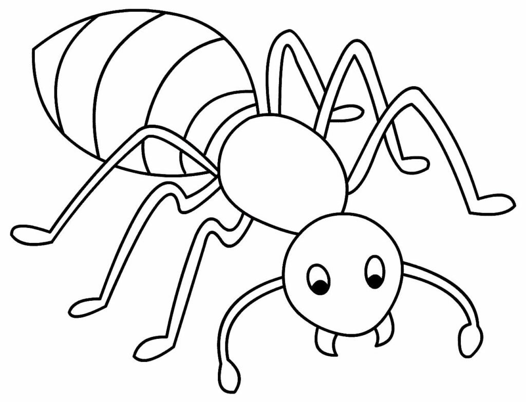 desenhos de insetos para colorir 3