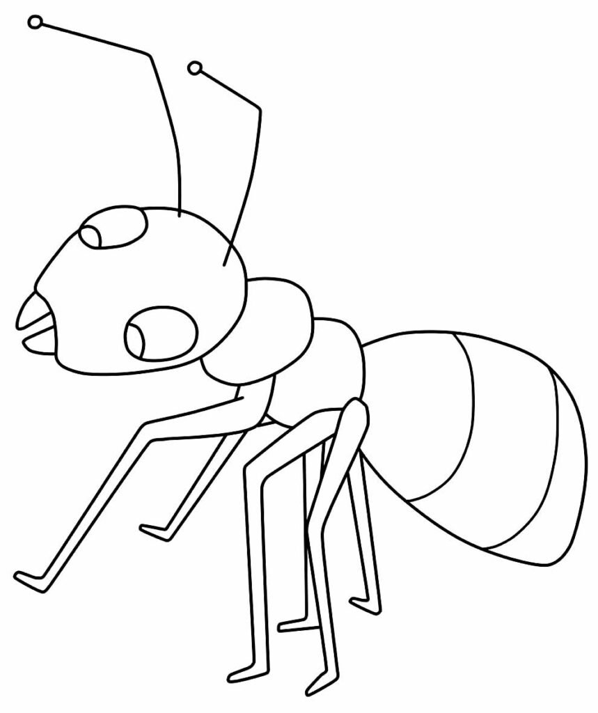 desenhos de insetos para colorir 5