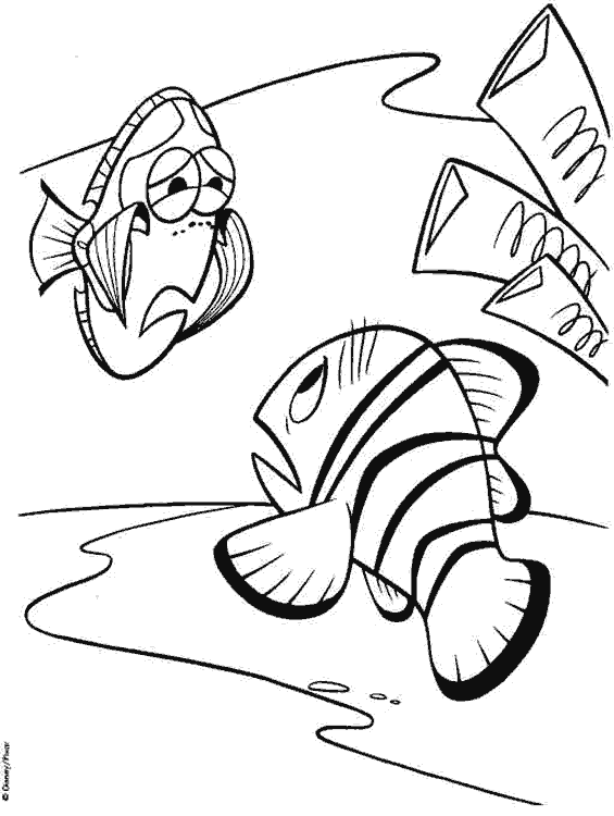 desenhos do nemo para colorir