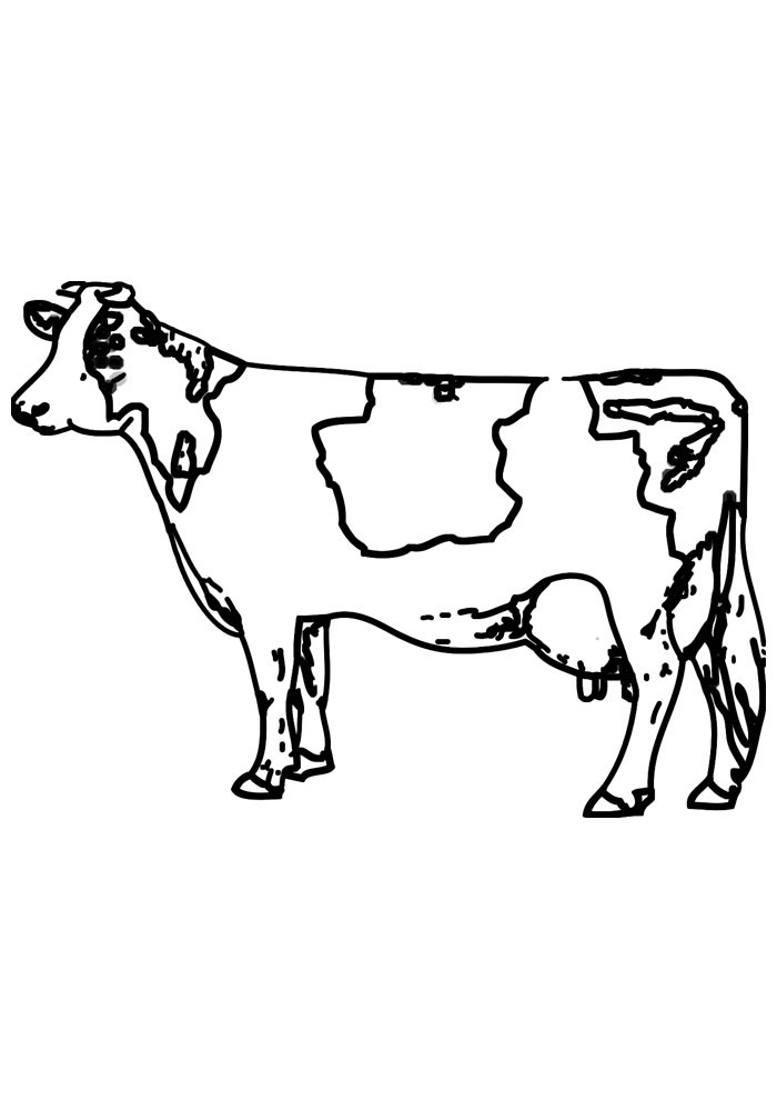 vaca para colorir 13