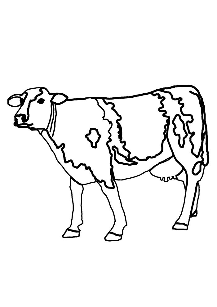 vaca para colorir 26