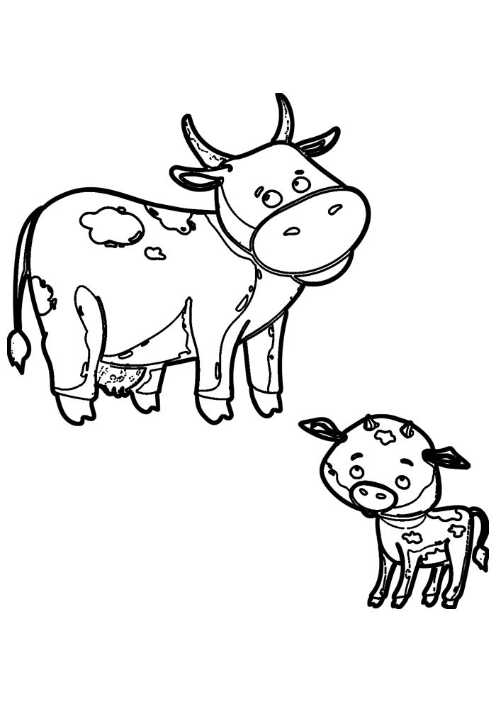 vaca para colorir 32