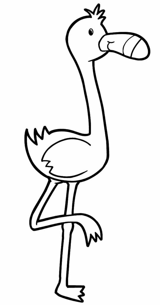 desenho de flamingo para colorir 12