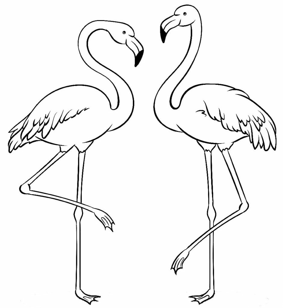 desenho de flamingo para colorir 13