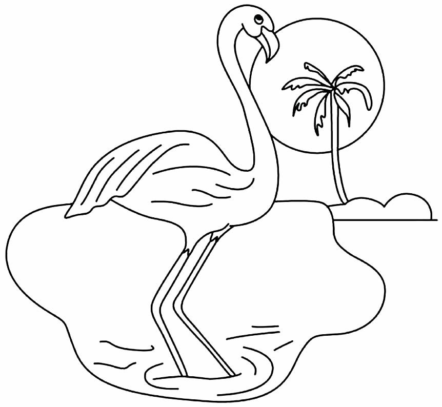 desenho de flamingo para colorir 9