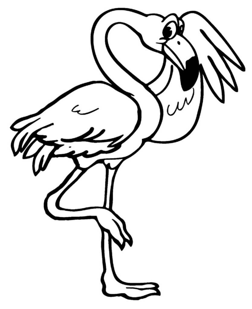 desenho de flamingo para pintar 6