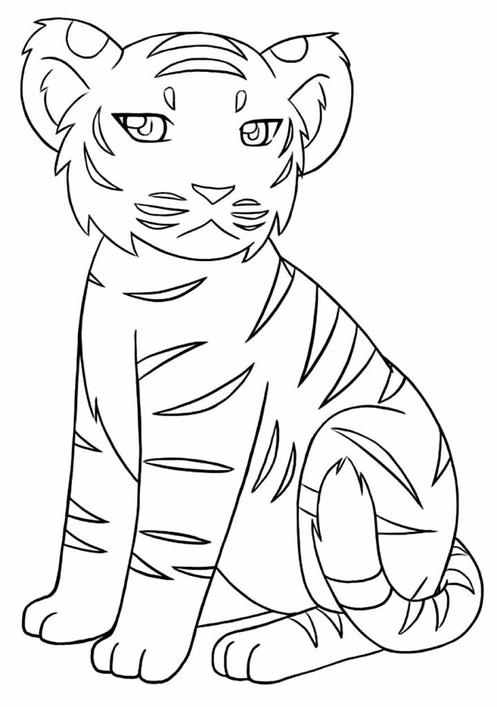 desenho de tigre para pintar e colorir 12