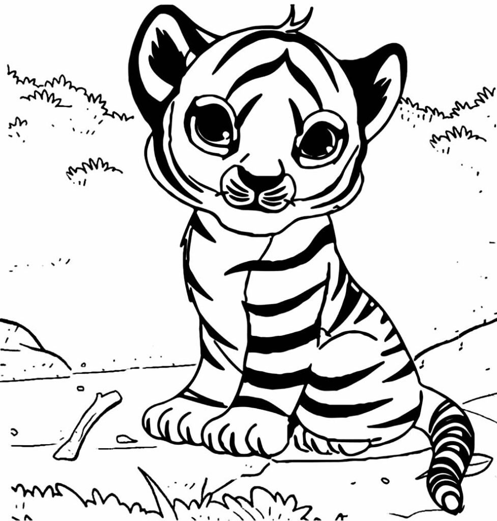 desenho de tigre para pintar e colorir 600