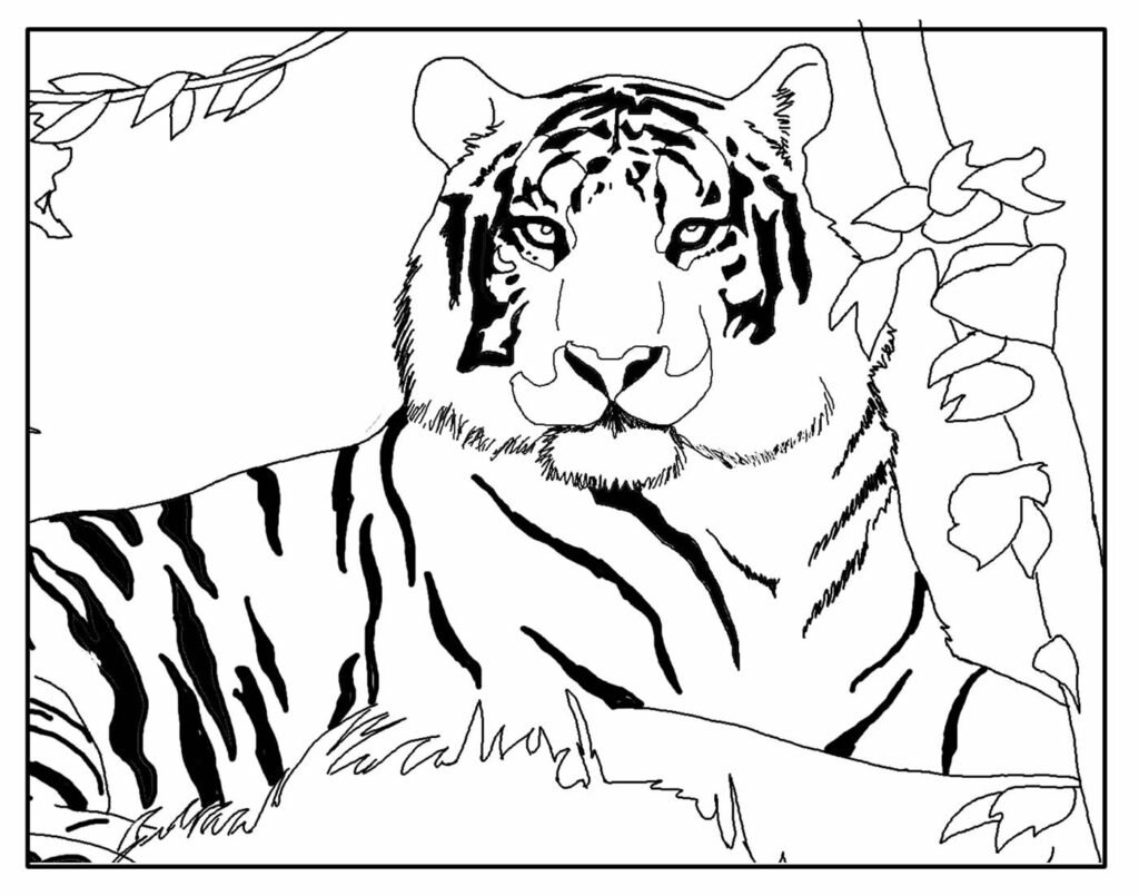 desenho para colorir e pintar de tigre 7