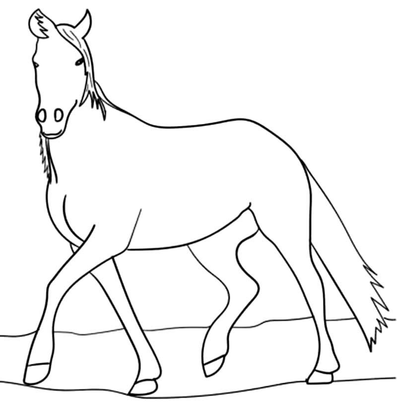 desenhos de cavalo para colorir 8