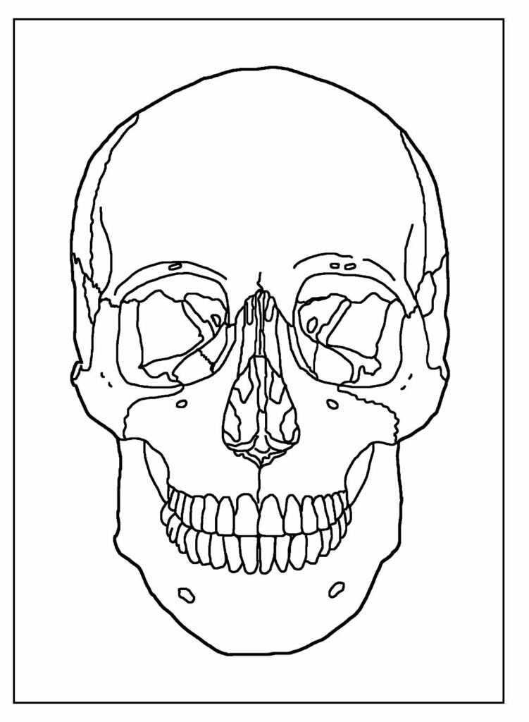 desenhos de caveira para colorir 15