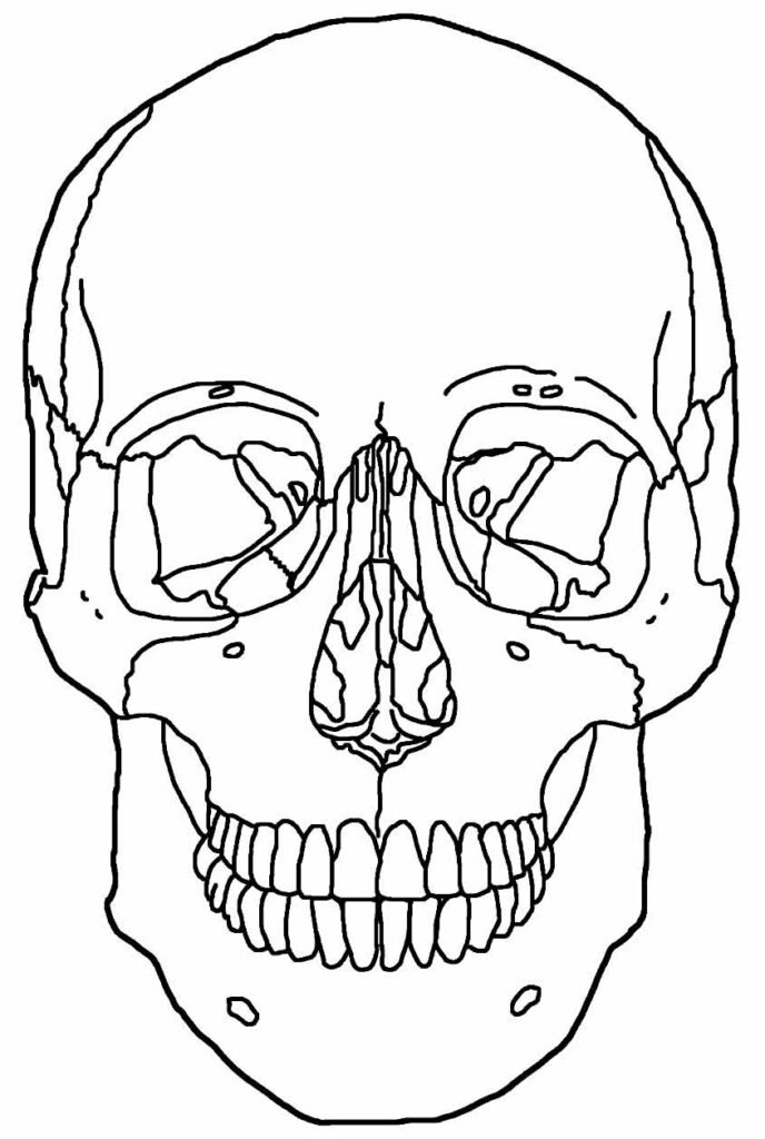 desenhos de caveira para colorir 16