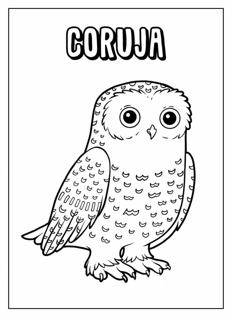 desenhos de coruja para colorir 27