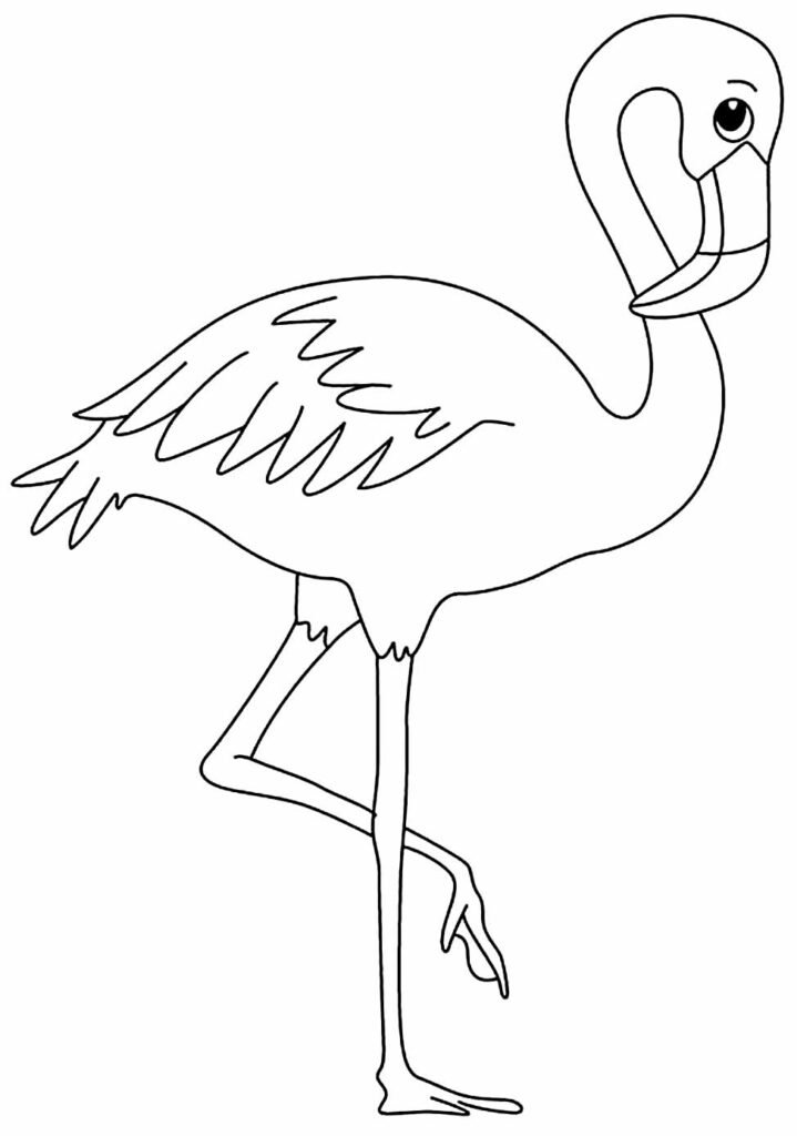 desenhos de flamingo para colorir 14