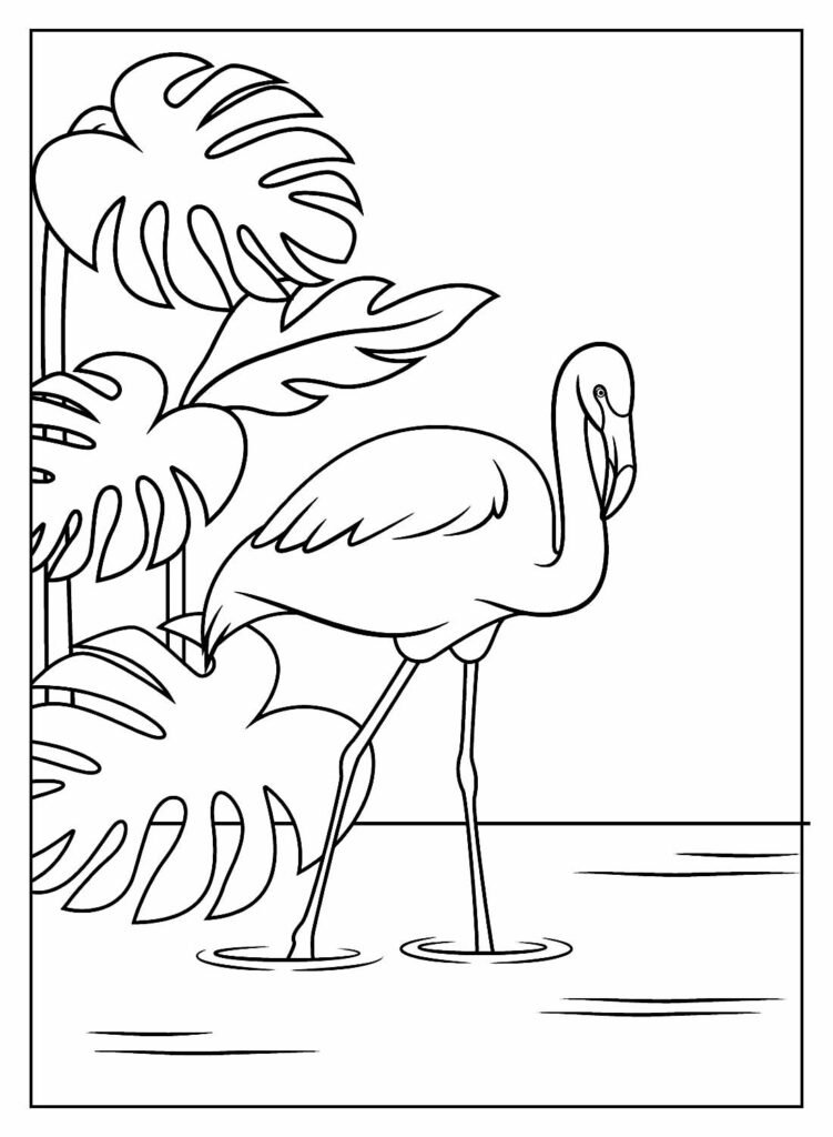 desenhos de flamingo para colorir 19