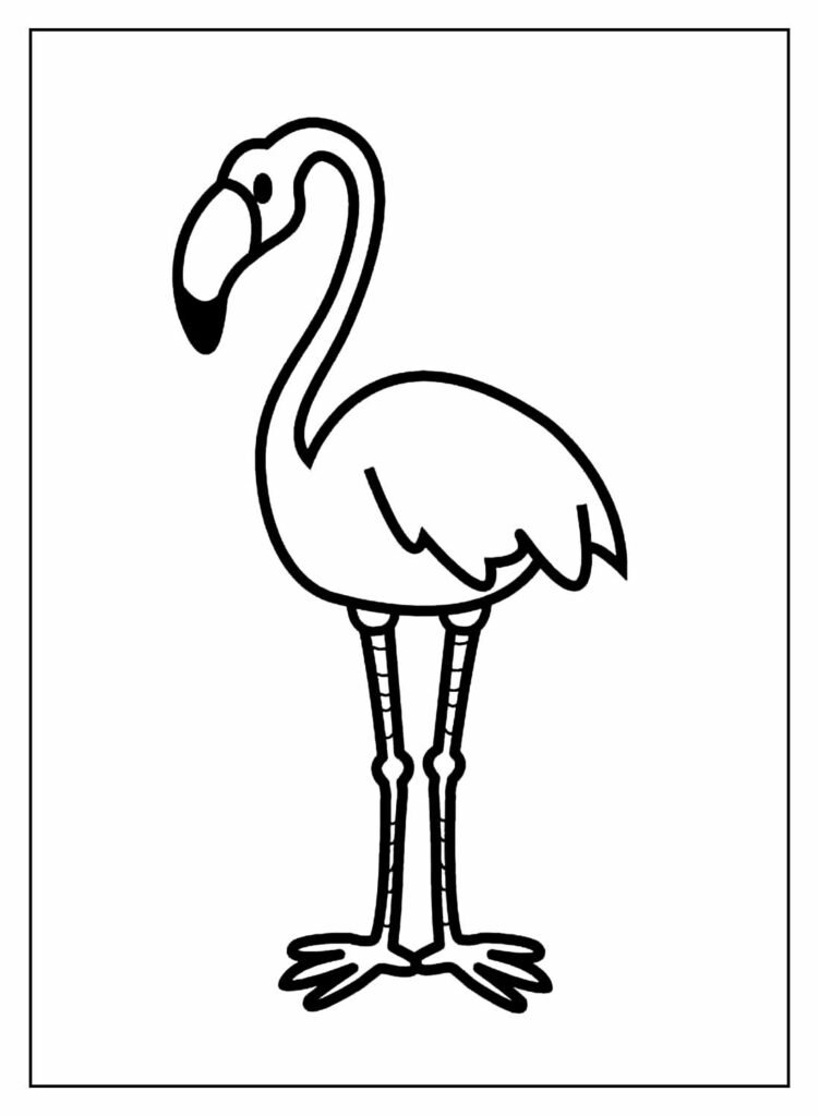 desenhos de flamingo para colorir 9