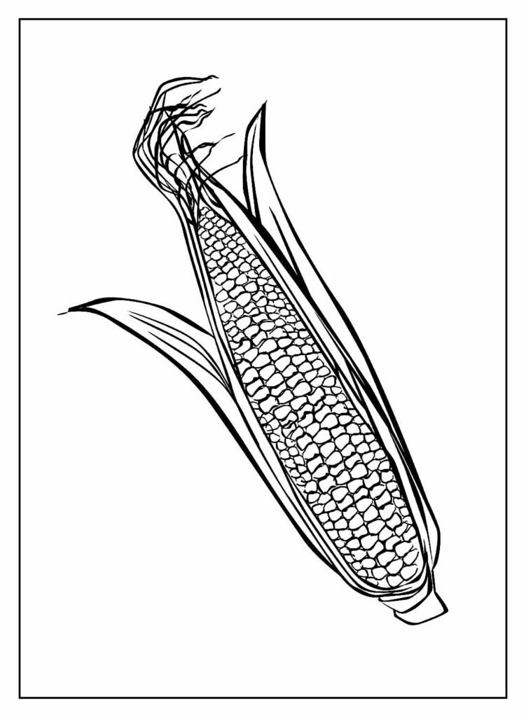 desenhos de milho para colorir 10