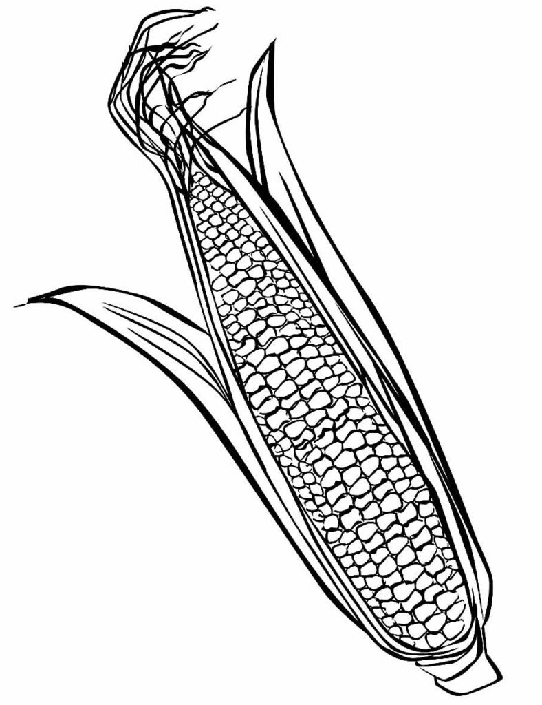 desenhos de milho para colorir 11