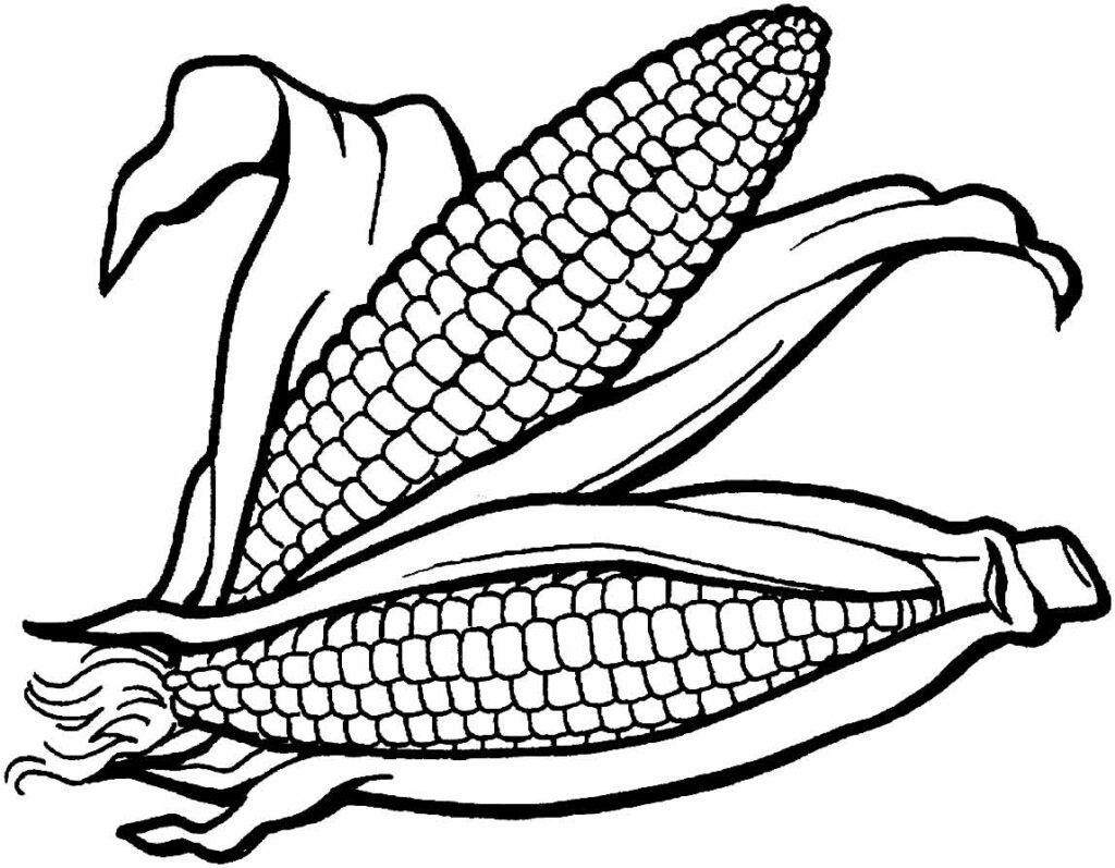 desenhos de milho para colorir 13