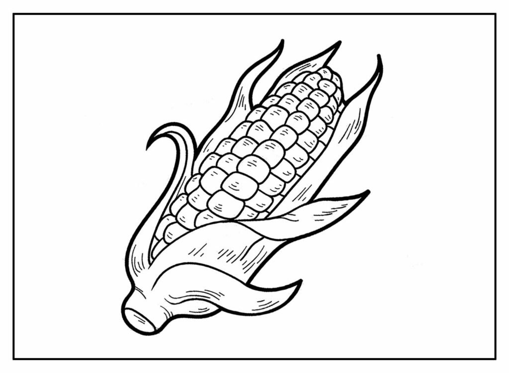 desenhos de milho para colorir 16