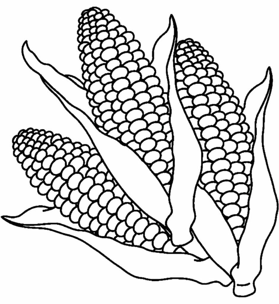 desenhos de milho para colorir 20