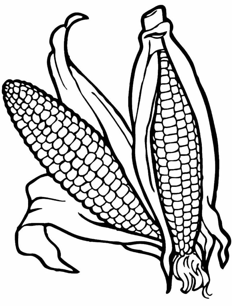 desenhos de milho para colorir 4