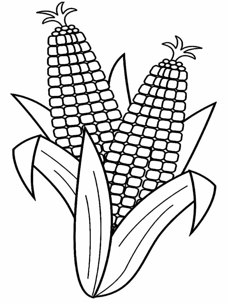 desenhos de milho para colorir 6