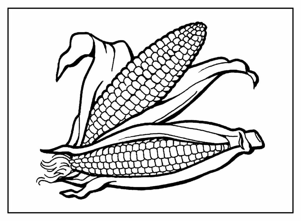 desenhos de milho para colorir 9