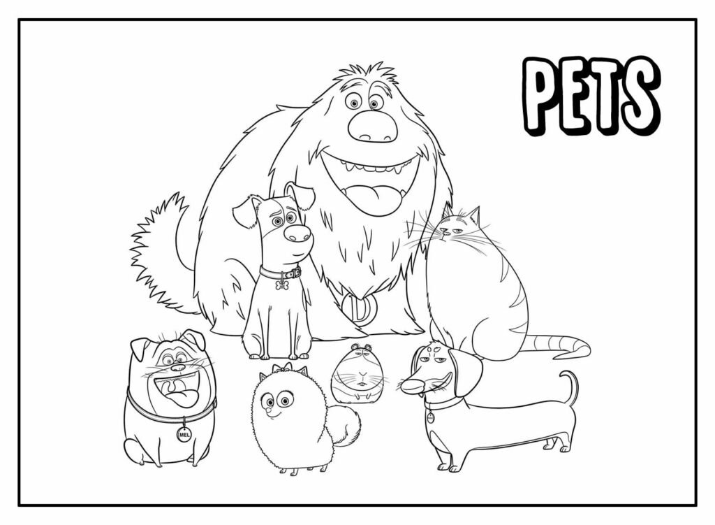 desenhos de pets para colorir 20