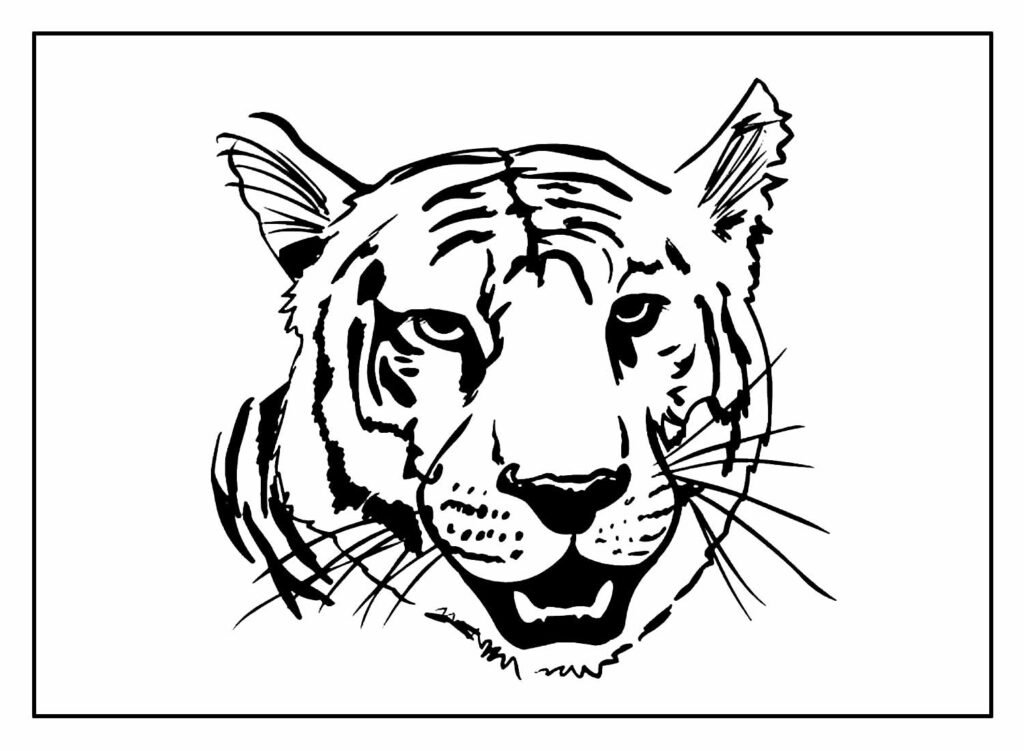 tigre desenho para colorir 3