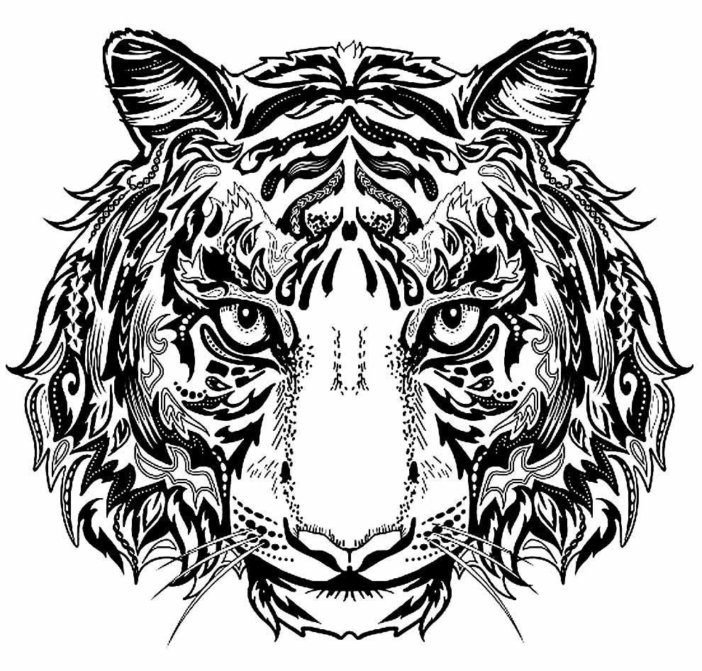 tigre desenho para colorir 7