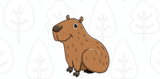 Desenhos de Capivara para Colorir