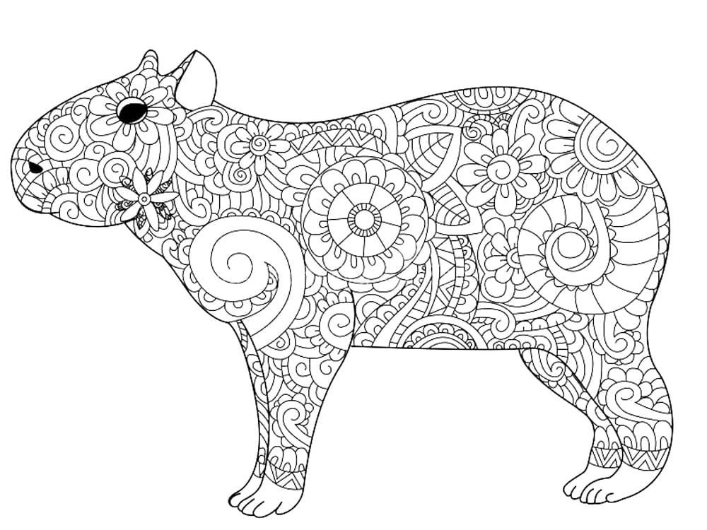 Desenho de Capivara, o maior roedor do mundo para colorir