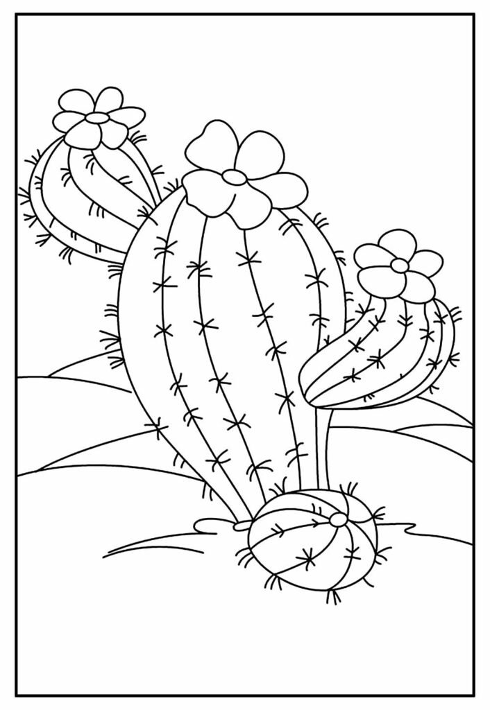 desenho de cactos para colorir 10