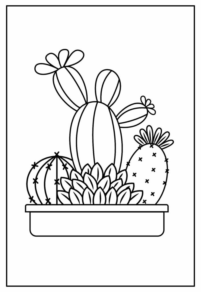 desenho de cactos para colorir 23