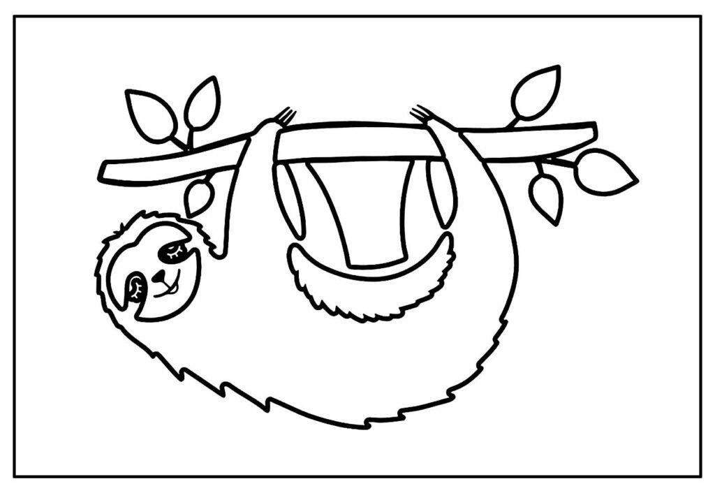 desenho do bicho preguica para colorir 12